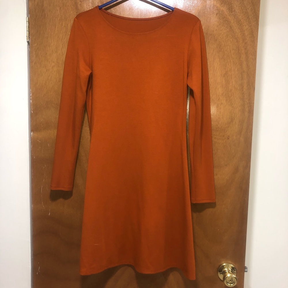 American Apparel  Pumpkin Spice Skater Dress